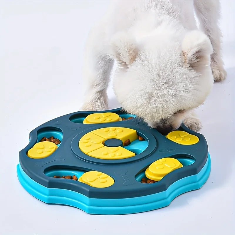 Educational dog bowl