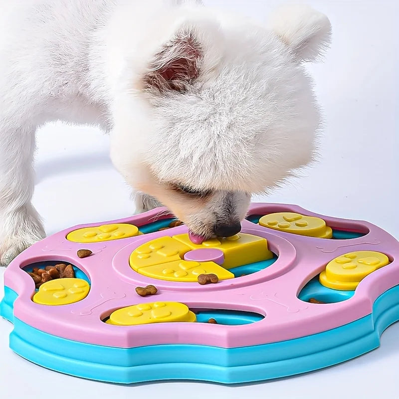 Educational dog bowl