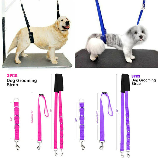 Portable leash